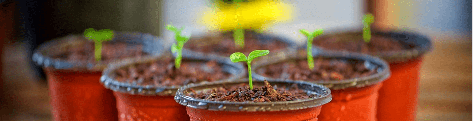 Growbox Komplettset